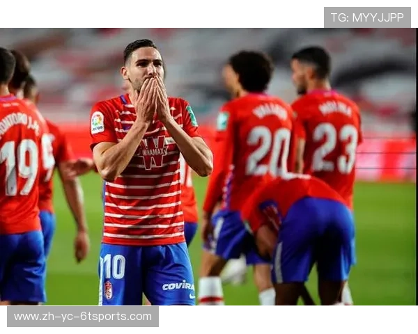 西甲联赛全球粉丝数量与地域分布